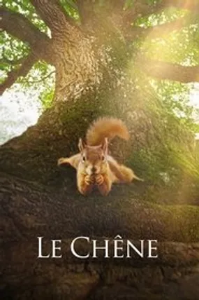 Affiche officielle du film Le Chêne (2022) en French - HDLight - Regarder en streaming sur GauloisFlix