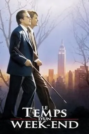Affiche officielle du film Le Temps d'un week-end (1992) en TrueFrench - HDLight - Regarder en streaming sur GauloisFlix