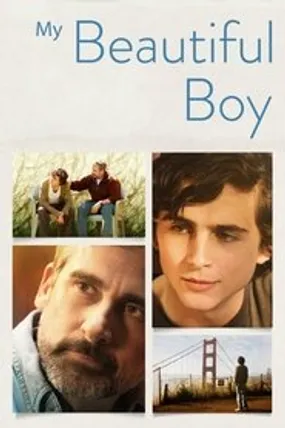 Affiche officielle du film My Beautiful Boy (2018) en TrueFrench - HDLight - Regarder en streaming sur GauloisFlix