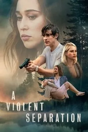 Affiche officielle du film A Violent Separation (2019) en VOSTFR - HDLight - Regarder en streaming sur GauloisFlix