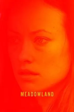 Affiche officielle du film Dans la brume du soir (2015) en TrueFrench - DVDRIP - Regarder en streaming sur GauloisFlix