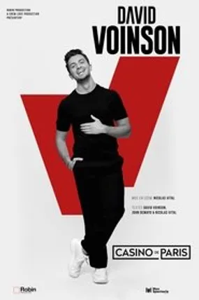 Affiche officielle du film David Voinson (2024) en TrueFrench - HDLight - Regarder en streaming sur GauloisFlix