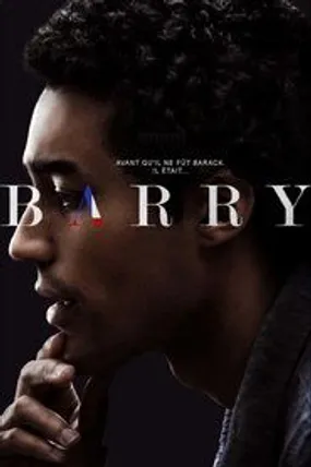 Affiche officielle du film Barry (2016) en French - Regarder en streaming sur GauloisFlix
