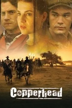 Affiche officielle du film Copperhead (2013) en French - Regarder en streaming sur GauloisFlix
