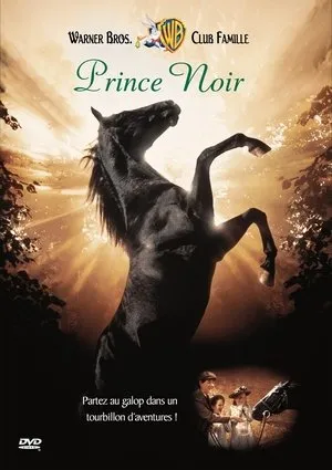 Affiche du film Prince noir