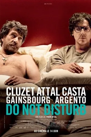Affiche du film Do Not Disturb