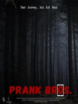 Affiche du film Prank Bros