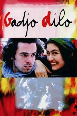 Affiche du film Gadjo dilo
