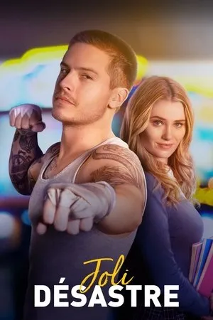 Affiche du film Joli Désastre