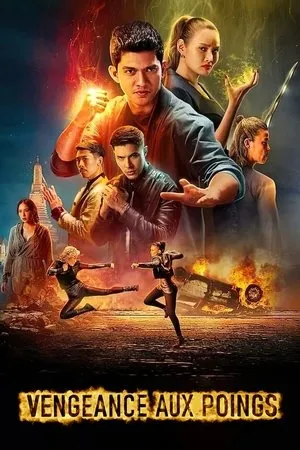 Affiche du film Vengeance aux poings