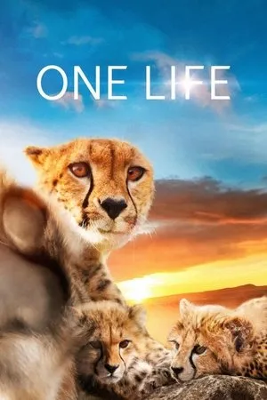 Affiche du film One Life