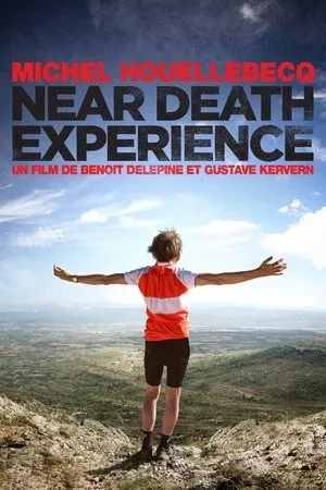 Affiche du film Near death experience
