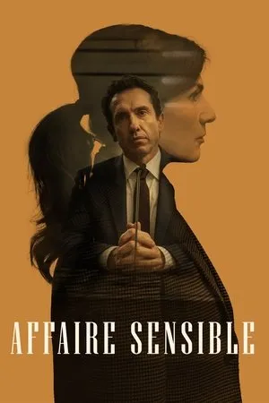 Affiche du film Affaire sensible