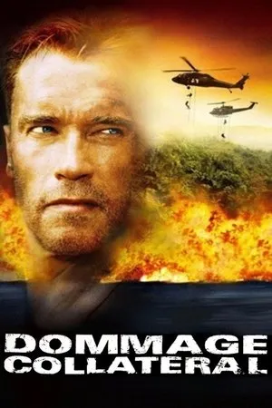Affiche du film Dommage collatéral