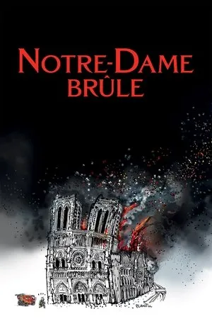 Affiche du film Notre-Dame brûle