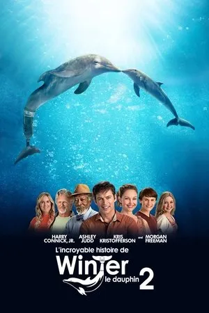 Affiche du film L'Incroyable Histoire de Winter le dauphin 2