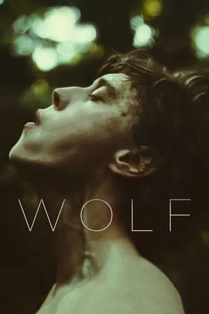Affiche du film Wolf