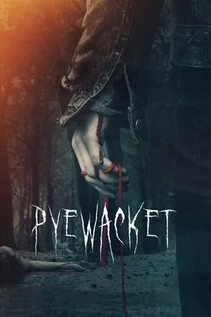 Affiche du film Pyewacket