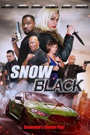 Affiche du film Snow Black