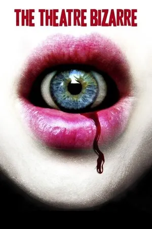 Affiche du film The theatre bizarre