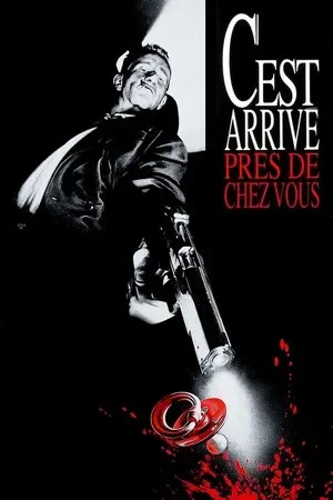 Affiche du film C'est arrivé près de chez vous