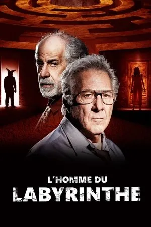 Affiche du film L'Homme du labyrinthe