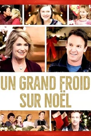 Affiche du film Un grand froid sur Noël
