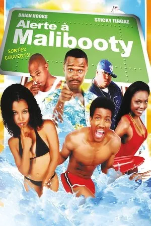 Affiche du film Alerte à Malibooty