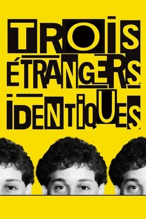 Affiche du film Trois étrangers identiques