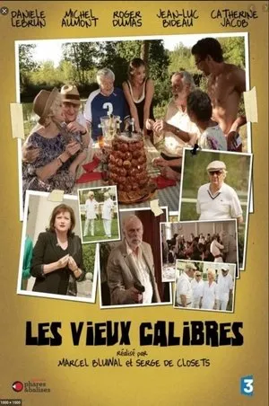 Affiche du film Les Vieux Calibres