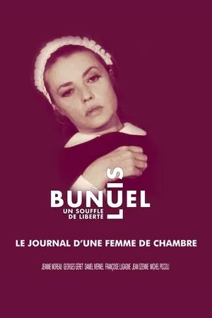 Affiche du film Le Journal d'une femme de chambre