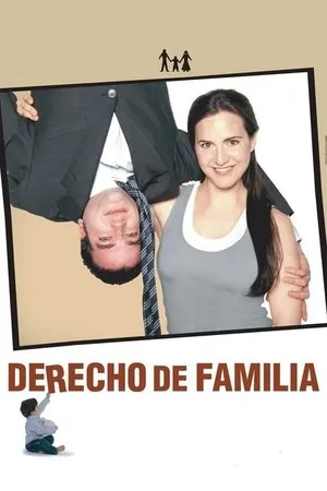 Affiche du film Les lois de la famille