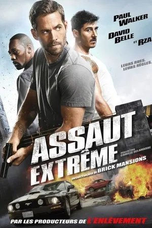 Affiche du film Brick Mansions