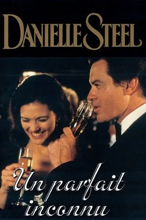 Affiche du film Un parfait inconnu