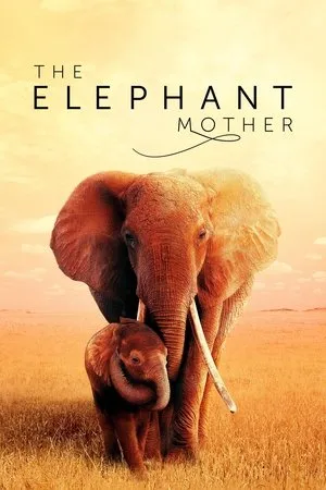Affiche du film The Elephant Mother