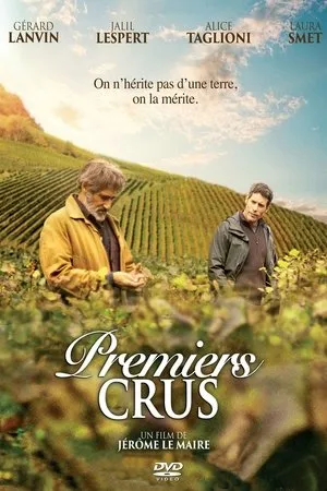 Affiche du film Premiers crus