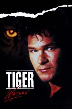 Affiche du film Tiger Warsaw