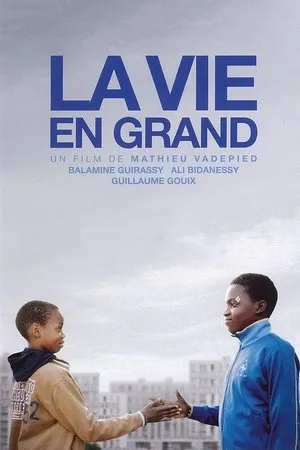 Affiche du film La vie en grand
