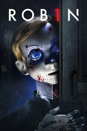 Affiche du film Rob1n
