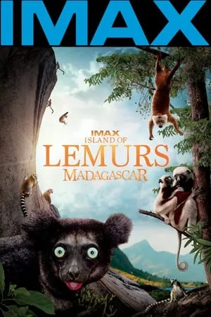 Affiche du film IMAX L'ile des lémuriens : Madagascar