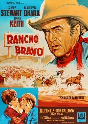 Affiche du film Rancho Bravo