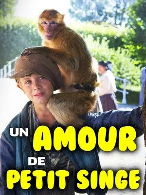 Affiche du film Un amour de petit singe