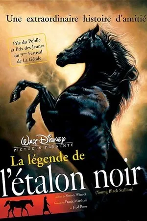 Affiche du film La légende de l'étalon noir