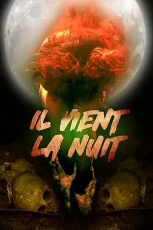 Affiche du film Il vient la nuit