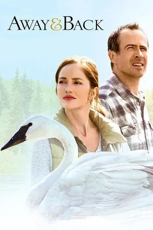 Affiche du film Les cygnes du destin
