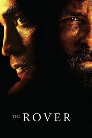 Affiche du film The Rover