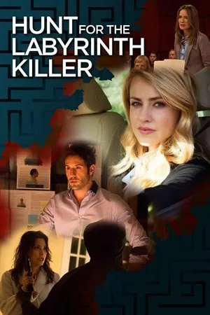 Affiche du film Le Labyrinthe de l'injustice