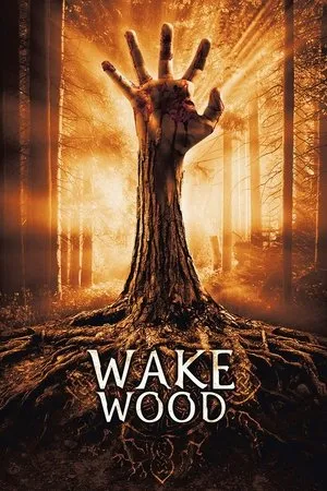 Affiche du film Wake Wood