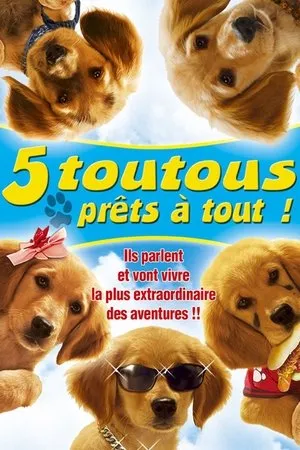 Affiche du film 5 toutous prêts à tout
