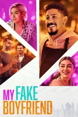 Affiche du film Mon Petit Ami virtuel